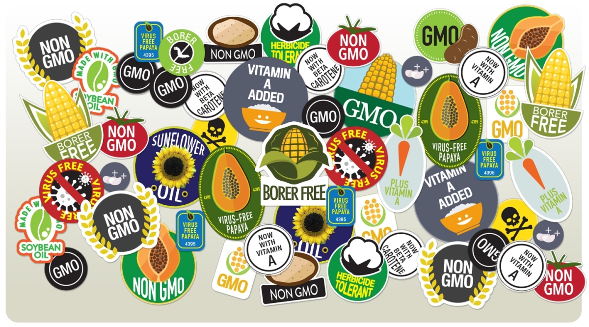 GMO’s — a go, or no?